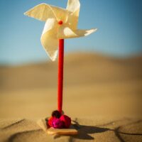 _MV_2652 _MV_2652