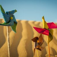 _MV_2681 _MV_2681