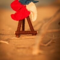 _MV_2725 _MV_2725