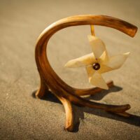 _MV_2804 _MV_2804