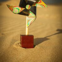 _MV_2846 _MV_2846