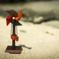 _MV_2916 _MV_2916