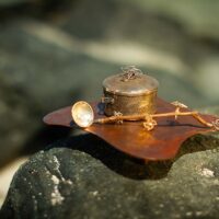 _MV_2941 _MV_2941