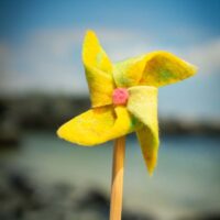 _MV_2945 _MV_2945