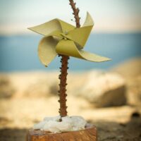 _MV_2965 _MV_2965