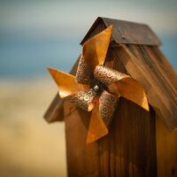 _MV_2980 _MV_2980