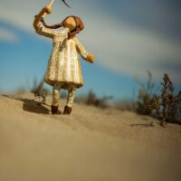 _MV_2993 _MV_2993