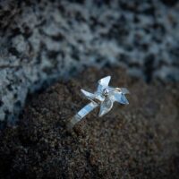 _MV_3025 _MV_3025